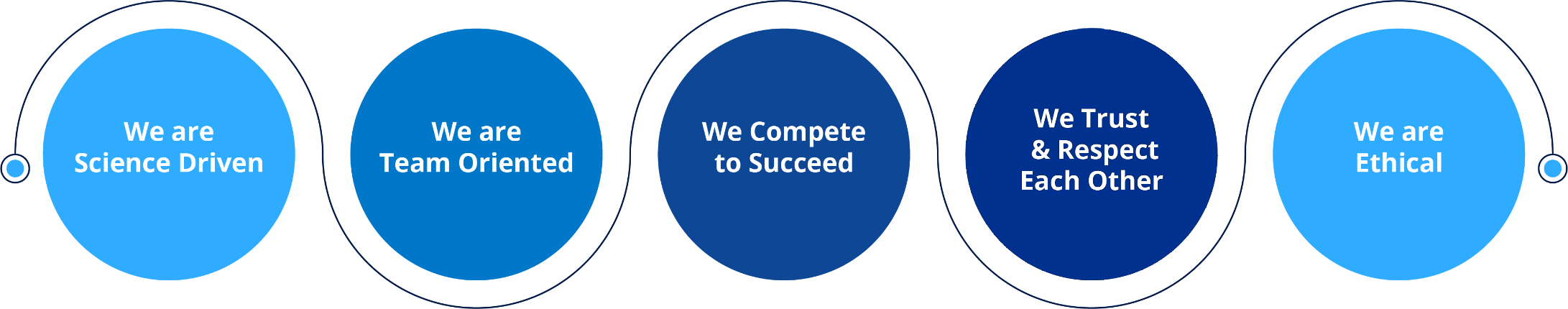Our Values Graphically Shown 3
